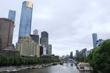 IMG_5923.JPG
