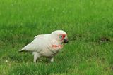 IMG_5963.JPG