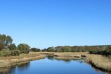 IMG_5398.JPG