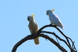 IMG_5402.JPG