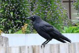 IMG_5418.JPG