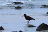 IMG_5498.JPG