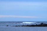 IMG_5503.JPG
