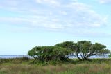 IMG_5531.JPG