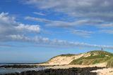 IMG_5537.JPG