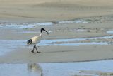 IMG_5546.JPG