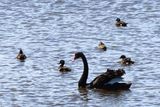 IMG_5725.JPG