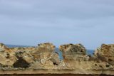 IMG_5774.JPG