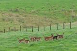 IMG_5796.JPG