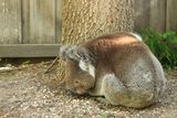 IMG_5826.JPG