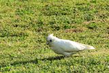 IMG_5837.JPG