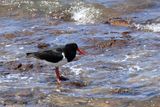 IMG_6053.JPG