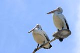 IMG_6062.JPG