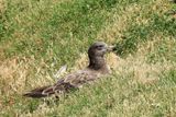 IMG_6063.JPG