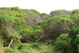 IMG_6095.JPG