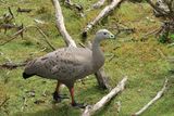 IMG_6136.JPG
