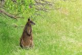 IMG_6154.JPG
