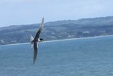 IMG_6173.JPG