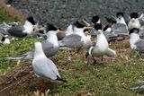 IMG_6190.JPG