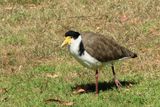 IMG_6216.JPG