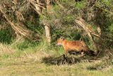 IMG_6218.JPG