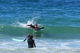 IMG_6231.JPG