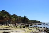 IMG_6264.JPG