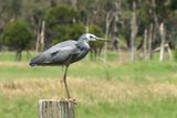 IMG_6281.JPG