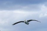 IMG_6368.JPG