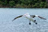 IMG_6372.JPG