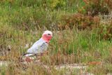 IMG_6379.JPG