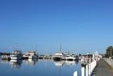 IMG_6381.JPG
