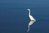 IMG_6384.JPG