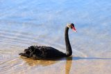 IMG_6386.JPG