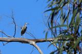 IMG_6452.JPG