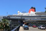 IMG_7446.JPG