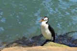 IMG_7605.JPG