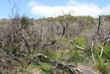 IMG_7832.JPG