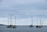 IMG_6538.JPG