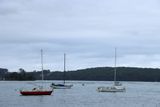 IMG_6541.JPG