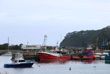 IMG_6558.JPG