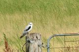 IMG_6563.JPG