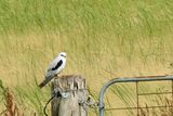 IMG_6565.JPG