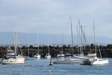 IMG_6597.JPG