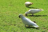 IMG_6607.JPG