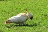 IMG_6609.JPG