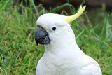 IMG_6670.JPG