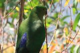 IMG_6828.JPG