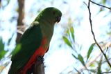 IMG_6834.JPG