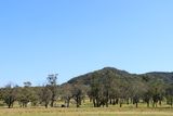 IMG_6871.JPG